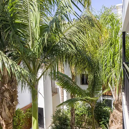 Alecos Aparthotel